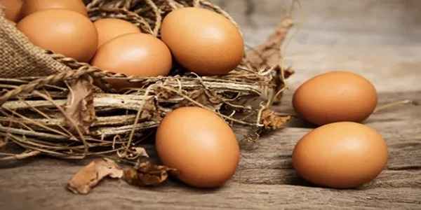 تصویر 1 از خرید تخم مرغ ارگانیک + قیمت فروش استثنایی